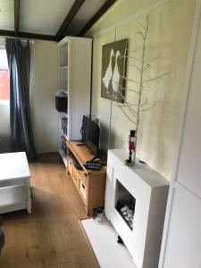 a living room with a fireplace and a television at Sherdale lodge in Builth Wells