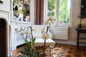 Posezení v ubytování Hôtel Particulier le 28