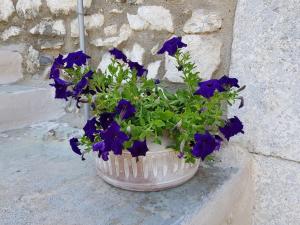 a vase filled with purple flowers sitting on a wall at MARIA'S Rustic stonehouse in traditional village in Koúmani