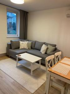 ein Wohnzimmer mit einem Sofa und einem Tisch in der Unterkunft APARTAMENTY GUZIK 22 in Krosno