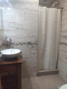 baño con lavabo y cortina de ducha en Relax San Bernardo en San Bernardo