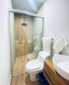 een badkamer met een toilet, een douche en een wastafel bij Palacio de las Rosas in Durango