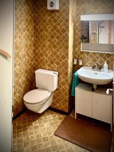 a bathroom with a toilet and a sink at Haus Antares in Saas-Almagell