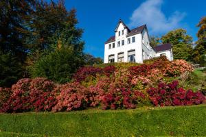 una casa blanca en la cima de una colina con flores en Boeckhaege vakantiewoning, en Ronse