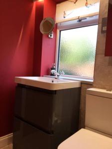 a bathroom with a sink and a window and a toilet at Beautifully appointed & cosy self contained annexe 