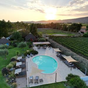 una vista sul tetto di una piscina e di tavoli e sedie di Is Cheas wine farm boutique hotel a San Vero Milis