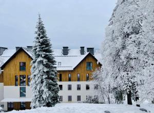 budynek w śniegu z drzewem w obiekcie Apartament N&B w Szklarskiej Porębie