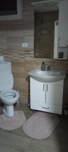 un bagno con un water e un lavandino di Apartman Popović - Vila Gorštak a Divčibare