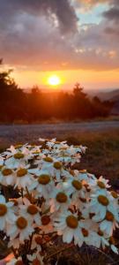 Paesaggio naturale nelle vicinanze dell'appartamento