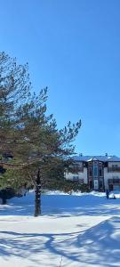 Apartman Popović - Vila Gorštak durante l'inverno