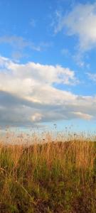 Paesaggio naturale nelle vicinanze dell'appartamento