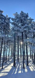 Paesaggio naturale nelle vicinanze dell'appartamento