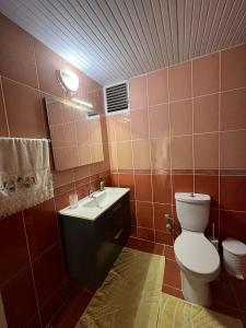 a bathroom with a toilet and a sink at Merkezi Hijyenik 3+1 Daire in Antalya