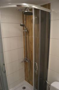 a shower with a glass door in a bathroom at Apartament Zielony Legionów 90 in Łódź