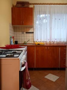 una cocina con estufa y ventana en Krisztina Kulcsosház Ivo, en Izvoare