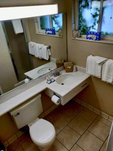 ein Badezimmer mit einem Waschbecken, einem WC und einem Spiegel in der Unterkunft Metropolitan Inn Downtown Salt Lake City in Salt Lake City