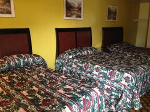 Afbeelding uit fotogalerij van Flamingo Inn in Seaside Heights +4 foto's