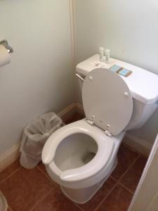 a bathroom with a white toilet with a sink at Flamingo Inn in Seaside Heights
