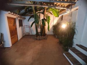 una habitación con un pasillo con un árbol y una escalera en Encantadora casa de pueblo en Sagunto