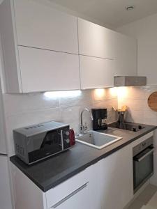 um balcão de cozinha com um micro-ondas e um lavatório em Paris chatou brand new quiet cosy flat em Chatou