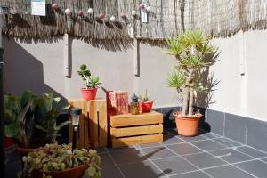 Vonkajšia záhrada v ubytovaní Ático en el Centro histórico con Terraza + 34 fotografií