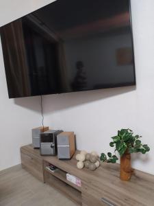 Televízia a/alebo spoločenská miestnosť v ubytovaní U Pepana