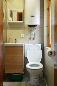 uma pequena casa de banho com WC e lavatório em Hiša Pr Valter em Jesenice