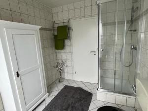 baño con ducha y puerta de cristal en Ferienwohnung Mosel en Niederfell