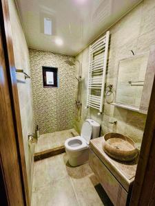 a bathroom with a toilet and a sink at Wonder Hill group in Bakuriani