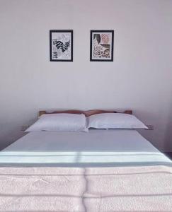 1 cama en un dormitorio con 2 cuadros en la pared en The palm house en Puerto Iguazú