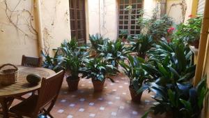 Fotografie z fotogalerie ubytování La casa del Rollo rooms v destinaci Pasarón