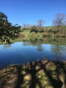 A view of a lake near the holiday home