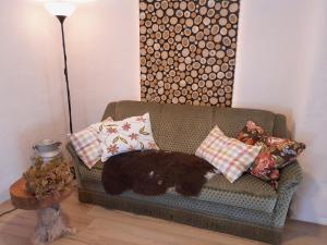 a black cat laying on a couch with pillows at Ferienwohnung Höfenhof in Schiltach