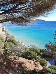 Příroda nedaleko apartmánu + 10 fotografií