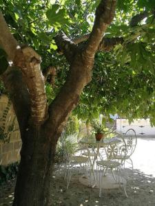 una mesa y sillas sentadas bajo un árbol en Casa La Higuera, en Chulilla