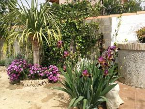 A garden outside Casa La Higuera
