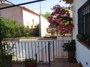 A garden outside Casa La Higuera
