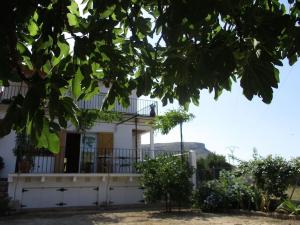 A garden outside Casa La Higuera