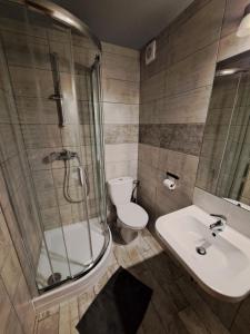 a bathroom with a shower and a sink and a toilet at Noclegi przy Lesie in Zakopane +49 photos