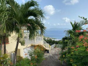 舍爾謝的住宿－Magnifique Villa Collinos avec piscine et jardin，带阳台和棕榈树的房子