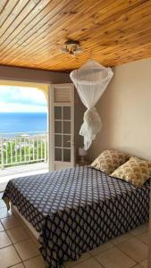 a bedroom with a bed with a view of the ocean at Magnifique Villa Collinos avec piscine et jardin in Schœlcher