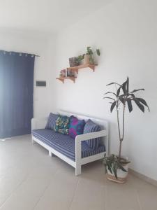um sofá branco sentado numa sala com uma planta em A.M.A Appartament em Calheta Do Maio