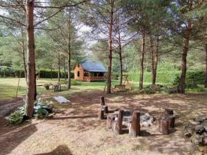 a log cabin with a playground in the woods at Między Sosnami in Pasym