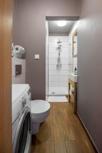 ein Badezimmer mit einem WC und einer Waschmaschine in der Unterkunft Blick Apartments - Riverview Studio Apartment in Zgorzelec