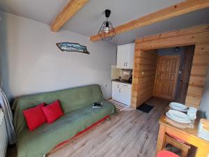 a living room with a green couch and red pillows at Noclegi przy Lesie in Zakopane