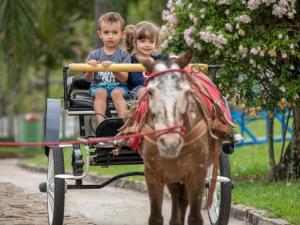 two children riding on a horse drawn carriage at Parque Hotel Pimonte 