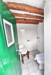 a bathroom with a toilet and a green door at Xenia's Traditional House in Andros