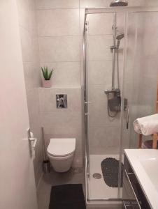 a bathroom with a shower with a toilet and a sink at Apartmani Tina in Jelsa +24 photos