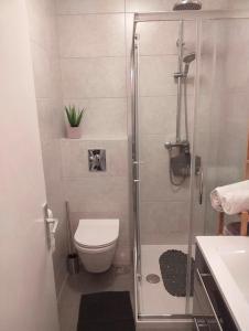 a bathroom with a shower with a toilet and a sink at Apartmani Tina in Jelsa