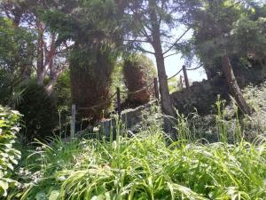 un jardín con valla, árboles y césped en Meublé avec jardin au bord lac du Bourget, en Brison-Saint-Innocent